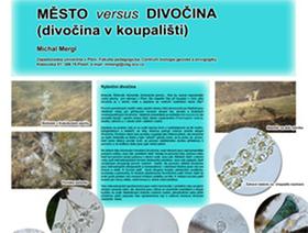 Umíte vytvořit poster?