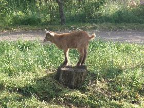 Exkurze do Maďarska